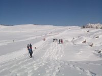 incrocio di piste