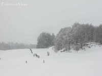 La via del ritorno : lessinia, paesaggio invernale