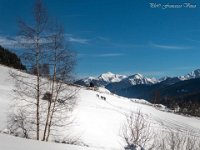 Chissà dove stanno andando