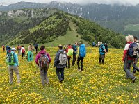 qualcuna li ha chiamati pratoline