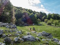 si entra nel bosco